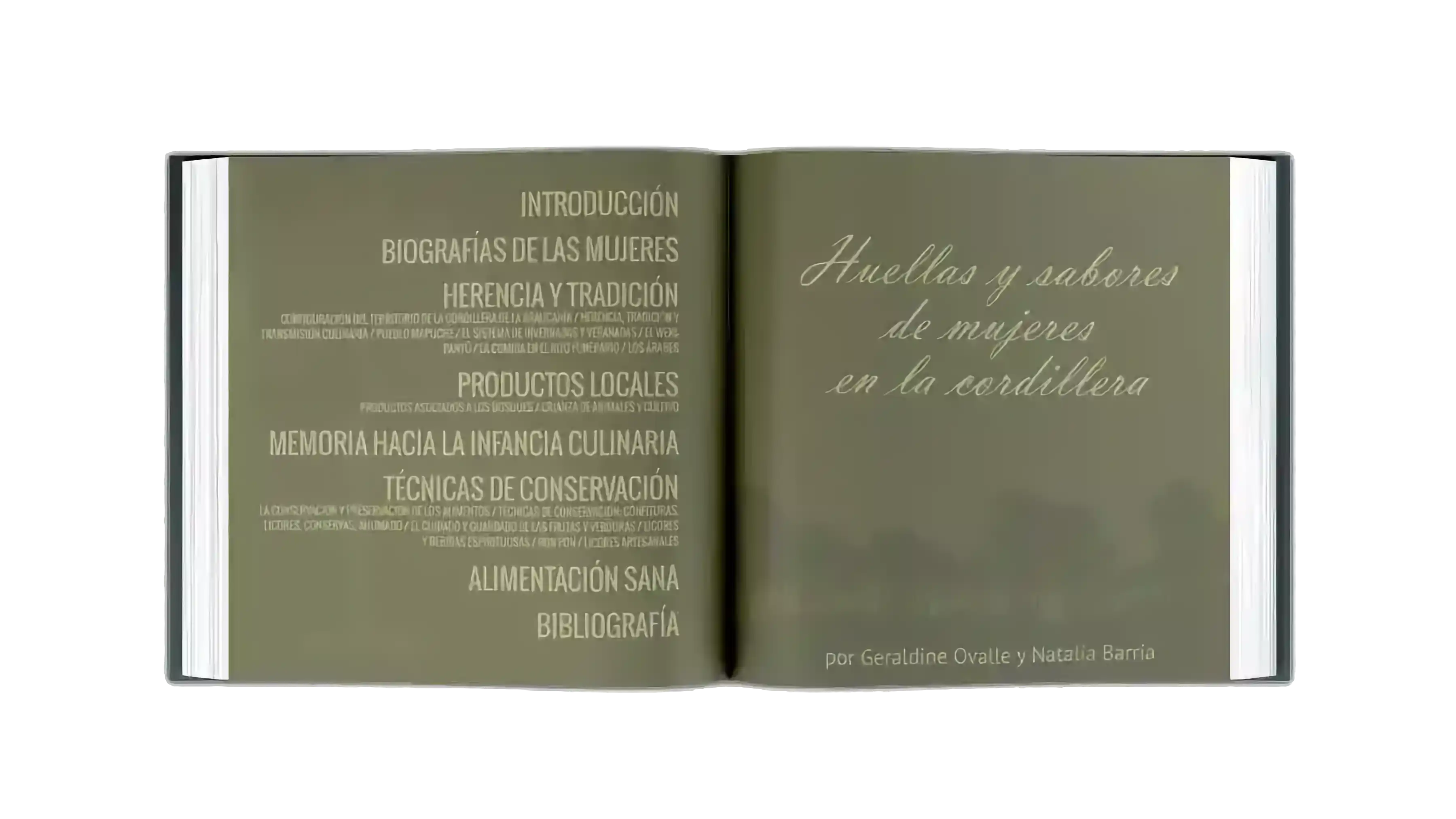 Abra la vista de libro de la tabla de contenido.